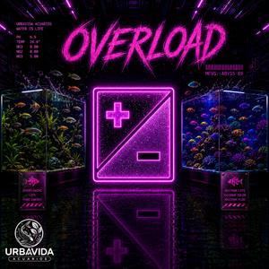 Overload