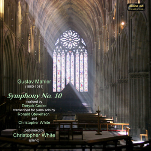 Symphony No. 10 in F-Sharp Minor (arr. D. Cook, R. Stevenson and C. White for piano):V. Finale: Langsam - Allegro moderato - Adagio