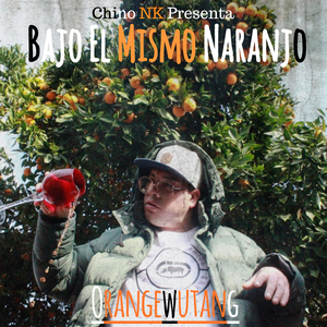 Free Style Feat. Insano Escritor (Desde la Penumbra)