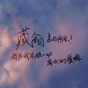 你是我不顾一切奔向的覆辙【HB to 老白】