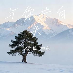 与你共白头