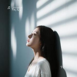 回家真好 (婉若梦 Remix)
