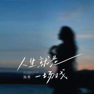 人生就是一场戏（真真假假莫在意）