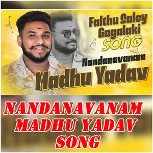 NANDANAVANAM MADHU YADAV SONG