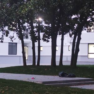 忧郁圆舞曲（valse triste），WoO 3 No. 2