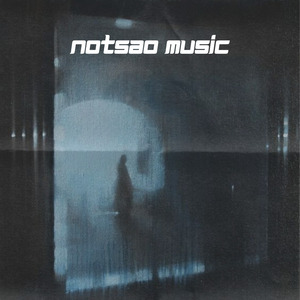 knicks ( slowed + reverb )