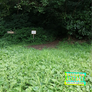 ギターが弾けたら