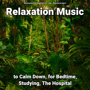 Relaxing Music Pt. 31