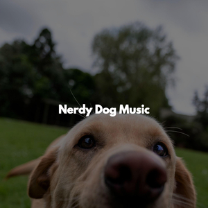 Simplistic (Music)