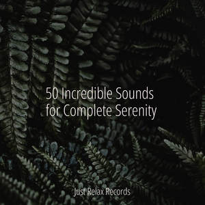 Essence of Tranquil Breath