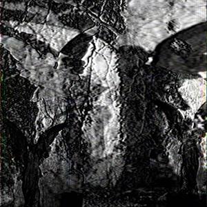 SCARLET (V4MPIAR Remix)