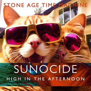 Sunocide: High in the Afternoon