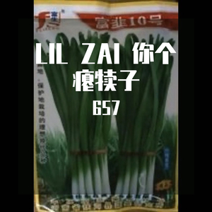 付一飞没女马prod by Roccky