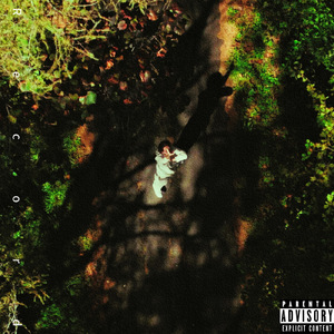 Life is game (feat. Ciger) [Remix]