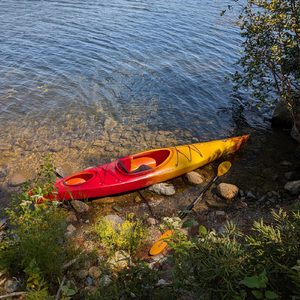 Nocturne, Op. 9 No. 1 in B-Flat Minor