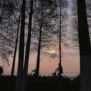陪你去流浪