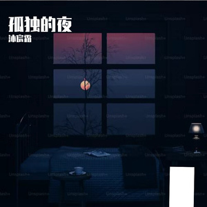 孤独的夜