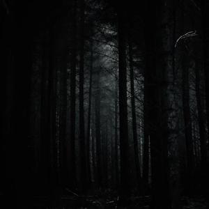 沼泽（Prod.Y-Shane)