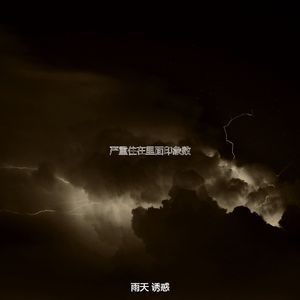 抚慰的风暴回忆