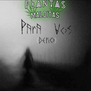 Para Vos