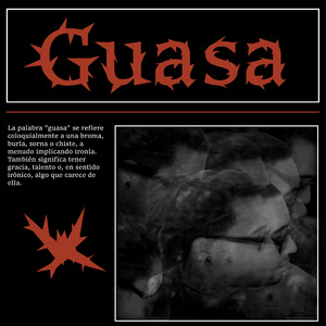 Guasa