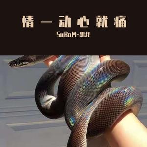 比心更痛的眼眸