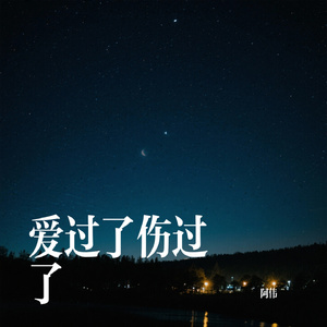 爱过了伤过了