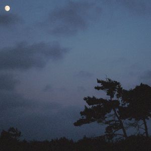 Vögel wachen auf (Acoustic)