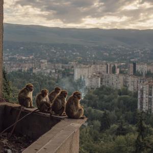 ლანდი ვარ