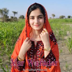 Yar Wafadar