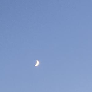 孤岛（prod. by 朝阳王祖贤）