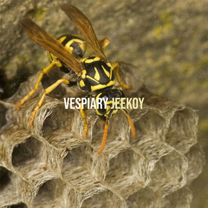 Vespiary