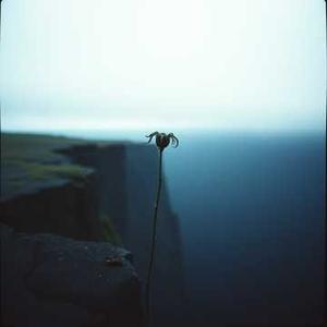 离不开我的依赖