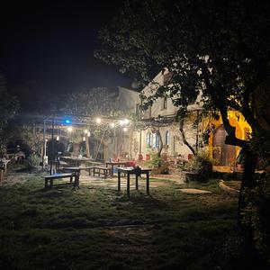 Fotosyntese(Det er vår)