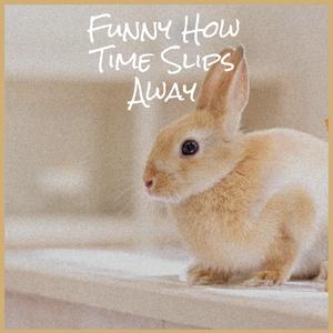 Elvira Madigan Theme