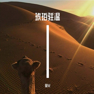 拟钰