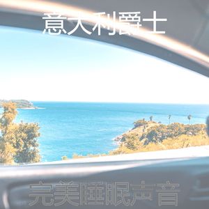 精致的假期环境