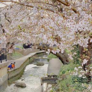 【钢琴】山河星光（翻）