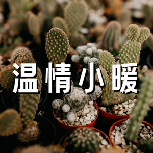 现代温情 小温暖