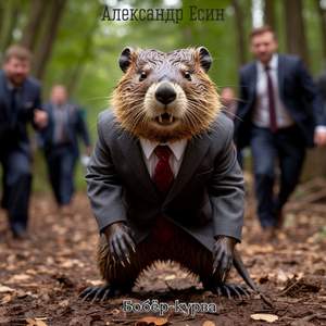 Бобёр-курва