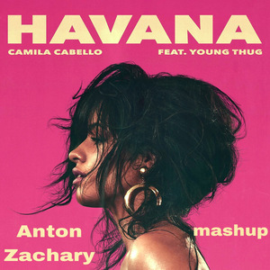 Camila Cabello - Havana(Anton Zachary mashup)