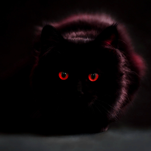 প্রবাসের বউদেরকে নিয়ে গুরুত্বপূর্ণ ওয়াজ