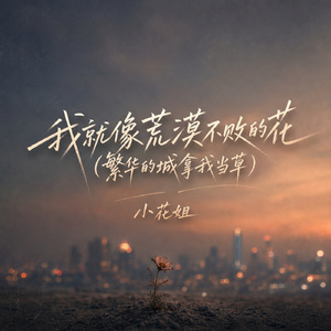 我就像荒漠不败的花(繁华的城拿我当草)