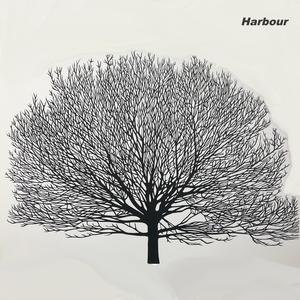 Fake Folk Music (Live) (Live)