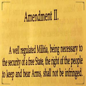 Shall Not Be Infringed