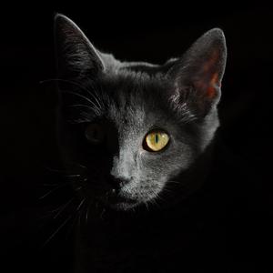 群星-姜玲的歌（静宇宇 remix）