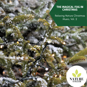 Culminating Midday Mountain