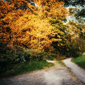 Crepúsculo Desde La Ventana