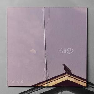 SHED (feat. A. FABLE)