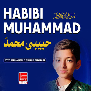 Habibi Muhammad